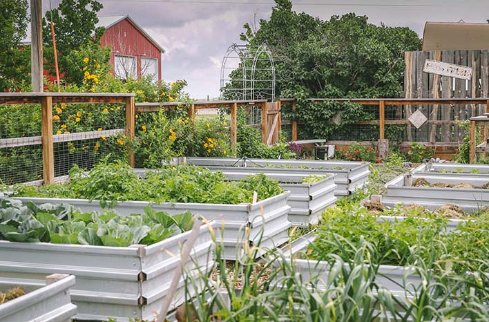 Cute Homestead Farm Names