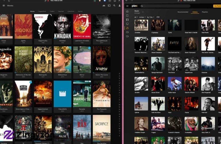 Plex Hosting Guide: Features, Benefits, and Common Mistakes to Avoid Plex Hosting